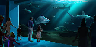 Check spelling or type a new query. Georgia Aquarium In Atlanta Ticket Prices Hours Things To Know