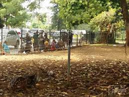 Taman rusa kemang pratama kota bks, jawa barat : Taman Rusa Kemangpratama Taman Wisata Anak Di Bekasi Cendana News