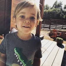 Wildflower Landscape Design