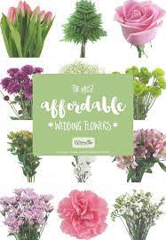 Check spelling or type a new query. The Most Affordable Types Of Wedding Flowers On A Budget Inexpensive Wedding Flowers Affordable Wedding Flowers Cheap Wedding Flowers