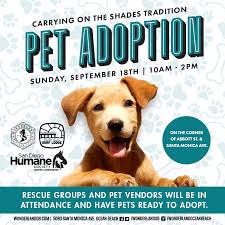 The number of dogs we can save depends entirely on the number of people willing to open their hearts and homes… Sd Humane Society Ob Pet Adoption Ocean Beach San Diego Ca News