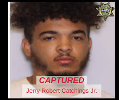 Over the past month, more than 30 vehicles have been broken into