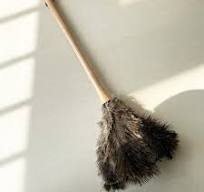 Amazon.com: 19.7 Inch Ostrich Feather Duster – Soft Dusting ...