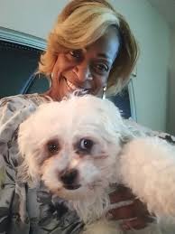 Introduction of a new pug to the community