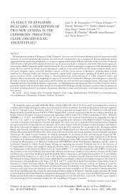 Image result for Kylicanthe rohrii