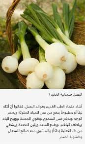 هل تعلم ان البصل صيدلية الفقير تعرف على فوائدة Vegetable Benefits Nutrition Health Eating