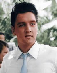 Elvis Aaron Presley 66, Vince Vance,