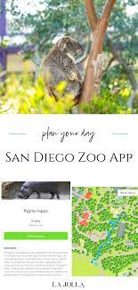 7 Ways The San Diego Zoo App Helps Plan Your Visit La Jolla Mom In 2021 San Diego Zoo San Diego Travel San Diego Vacation