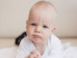 How can i get my dog to stop drooling? Everything You Need To Know About Teething