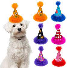 Plus, we carry a variety of home decor, faith finds, education products & wedding supplies. Amazon Com Dog Party Hat 6 Packs Christmas Cute Cone Hats Set For Dogs Birthday Parties Soft Plush Colorful Caps Perfect Doggie Party Supplies Pet Supplies