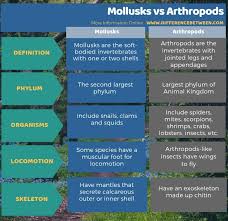 Difference Between Mollusks And Arthropods Compare The