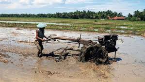 Sehingga pemerintah negara berkembang harus menekankan pada pembangunan di sektor pertanian terlebih dahulu sebagai batu loncatan untuk pembangunan di bidang industri. Bps Sebut Kontribusi Sektor Pertanian Ke Pdb Semakin Mengecil