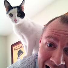 The post office box still is in use. Hardy, Iowa