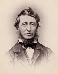 Image result for Henry David Thoreau