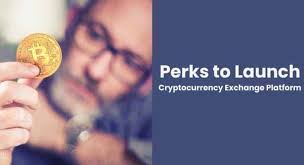 It will help in tying together the liquidity of all exchanges within the system. The Perks Of Launching Your Own Cryptocurrency Exchange Gadgetgang