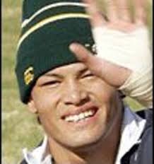 Cheetahs ready to hunt alone