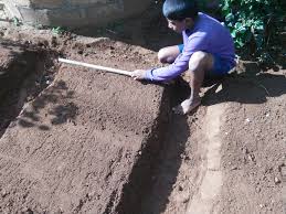 Arasy media - Posts | Facebook