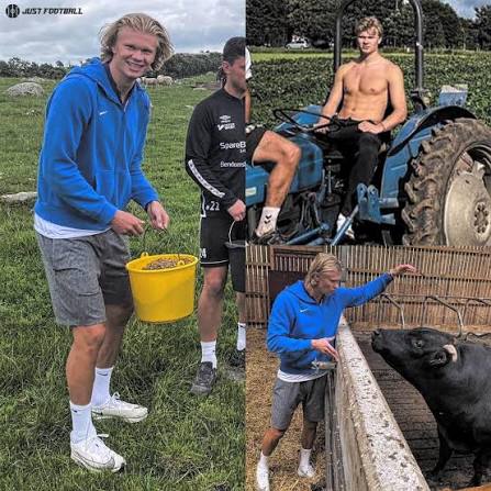 🗣️ Erling Haaland: “I love taking it easy whenever I can. Spending time on  a farm, driving a tractor, and looking after my cows is something I really  enjoy.” 🤠 🗣️ “When