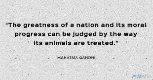 These Mahatma Gandhi Quotes Will Inspire You Blog Peta India