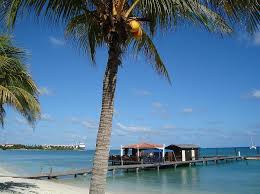 E qui, lo siete davvero. Aruba Isola L Isola Di Aruba Oranjestad Spiaggia Caribs Mar Dei Caraibi Isole Caraibiche Paradiso Isola Paradisiaca Isola Migliore Pikist