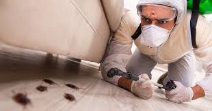The norway rat or sewer rat (rattus norvegicus), the roof rat (rattus the most fundamental and effective way of rodent prevention and control is to eliminate the food, harbourage and passages for the pest. Pest Control For Houses In Malaysia Know When It S Time To Call An Expert