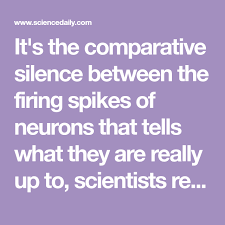 Silence Is Golden When It Comes To How Our Brains Work Neurons Brain Learning Silence