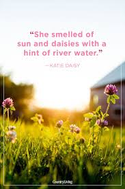 So whether you're in need of some summertime nostalgia or are in search of the perfect summer quotes for instagram, you'll appreciate these catchy lines about the summer season. 42 Best Summer Quotes Inspirational Warm Weather Sayings