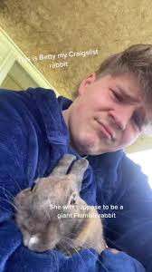 Almost been two years with her and were slowly becoming besties #rabbit  #giantflemishrabbit #craigslist #fyp
