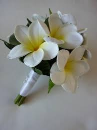 Pin On Flowers