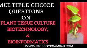 Animal cell and tissue culture. Mcq On Plant Tissue Culture Biotechnology And Bioinformatics Lecturer In Botany Questions