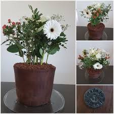 Jecanpa Geburtstagstorte Blumentopf Made By Alessi Blumentopf Geburtstagstorte Blumen