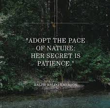 Cosmopolite Nature Quotes Emerson Quotes Outdoor Quotes