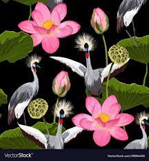 Japanese crane bird and lotus flowers leaves Vector Image