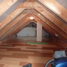 Bodendammung Aus Naturlichen Holzfasern Energetische Sanierung Dach Sanieren Trittschalldammung