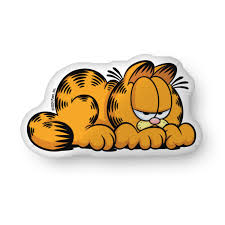 Image result for garfield