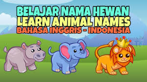 Koleksi gambar hewan karnivora hewan pemakan daging. Belajar Nama Hewan Kartun Animasi Dalam Bahasa Inggris Dan Indonesia Learn Animal Names Youtube
