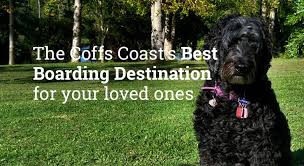 Tlc pet care services is not a kennel facility. Dog Boarding Coffs Harbour Tlc Boarding Kennels