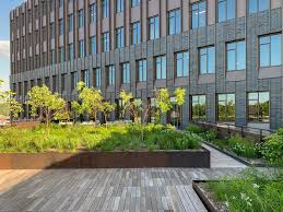 Mark Ripple, AIA, LEED AP BD+C