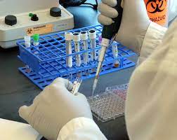 Effortlessly browse through msu gre test prep, gmat if you know of michigan state university classmates that are looking for test prep, you can. Leptospirosis Testing College Of Veterinary Medicine At Msu