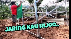 Pasang pagar ladang pasang pagar tapak semaian. Upgrade Reban Ayam Kampung Pasang Jaring Dawai Hijau Part 6 Youtube