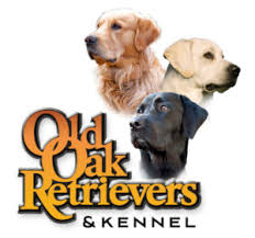 We did not find results for: Old Oak Retrievers Hunting Dog Training In Minnesota