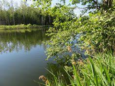 Photos, address, and phone number, opening hours, photos, and user reviews on yandex.maps. 26 Jarv Ideas Water Water Images Nature