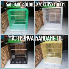 Kandang umbaran yang terlalu sempit dan di isi banyak populasi burung love bird akan membuat burung sulit bergerak. Koleksi Terbaru Tempat Makan Kandang Koloni Lovebird Ideku Unik