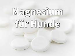 Wenn sie sich nun fragen, wie wichtig magnesiumcarbonat für ihre gesundheit sein kann, sollten sie zunächst wissen, worin es überhaupt steckt. Magnesium Fur Hunde Dosierung Wirkung Und Erfahrungen
