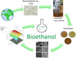 Vjera, ljubav, majčinstvo pratit će vas dan po dan otkrivajući tko je vrsna žena u biserima među nama. Valorization Of Corn Stover And Molasses For Enzyme Synthesis Lignocellulosic Hydrolysis And Bioethanol Production By Hymenobacter Sp Cks3 Sciencedirect