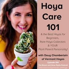 Episode 106: Hoya Care 101 and the Best Hoya's for Beginners, Intermediates  and YOUR Plant Parent Personality!