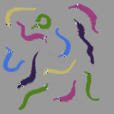 Worm on a string meme. Art Account Are Worm On A String Still A Hot Meme