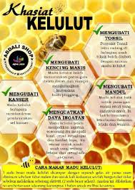 Madu bisa bikin awet muda orang kuno. Cara Makan Madu Kelulut Malaysian Today