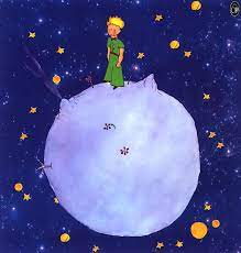 Notebook #146 le petit prince and planet $ 90.00. Materialism Shelver S Cove