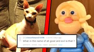 Top posts from r/memes on reddit. The Funniest Memes On Reddit Youtube